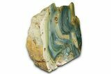 Free-Standing, Gary Green Jasper (Larsonite) Bog Wood - Oregon #334803-2